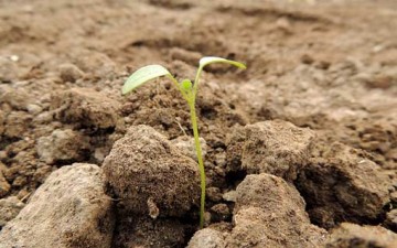 فلسفة التأثير التكويني للذنوب